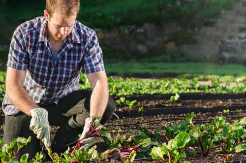 Gardener inspecting a garden - image 1