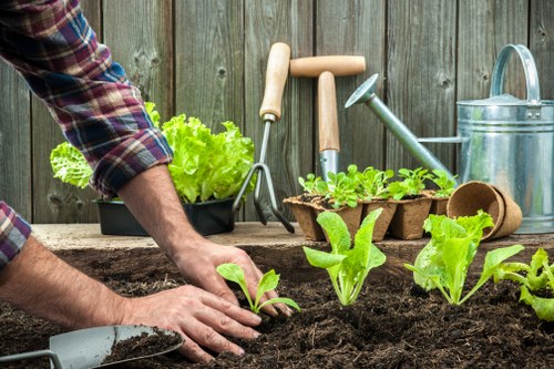 Eco-friendly garden clearance practices with recycling green waste