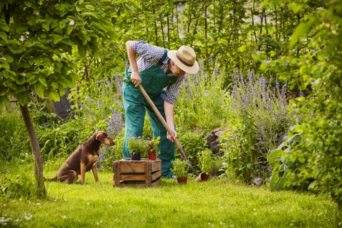 Gardener Norbiton team at work in a small garden