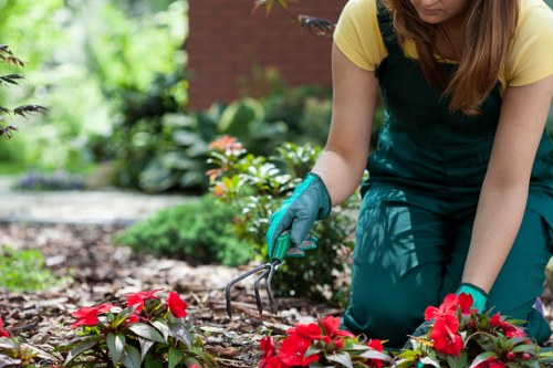 Efficient garden clearance equipment used by experts in Norbiton