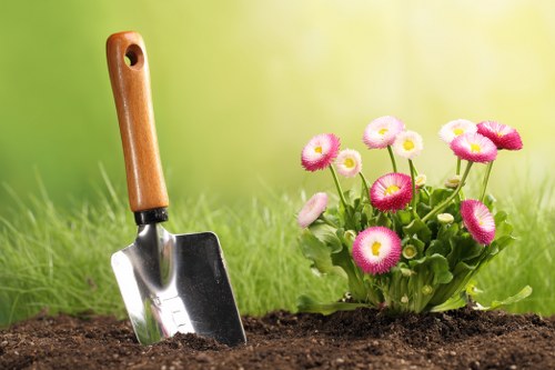 Sustainable plants in a Norbiton garden